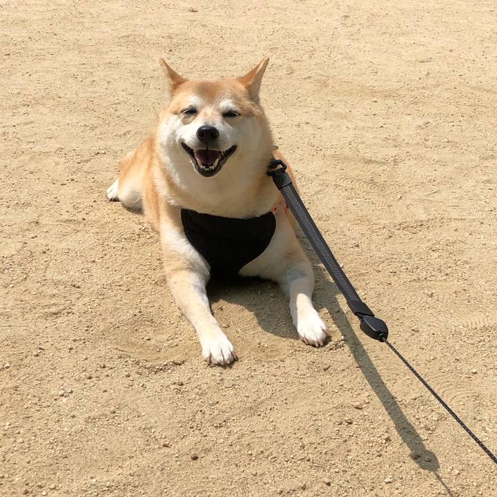 C530c624 a3be 4780 97b6 6ad8fb357487 1557808973487