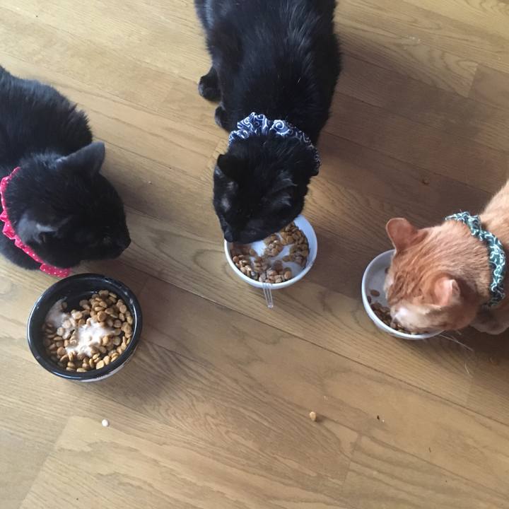 C530cdbb ab74 4771 8c7f 7419f8afdbb1 1553030909766