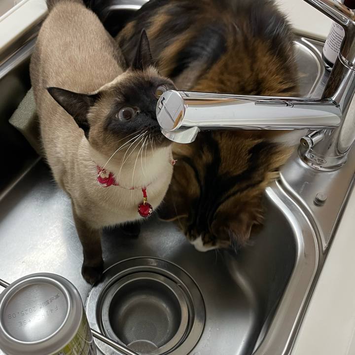 C530d3d2 4a02 48ae b8ef 6efe9128a164 1736625469954