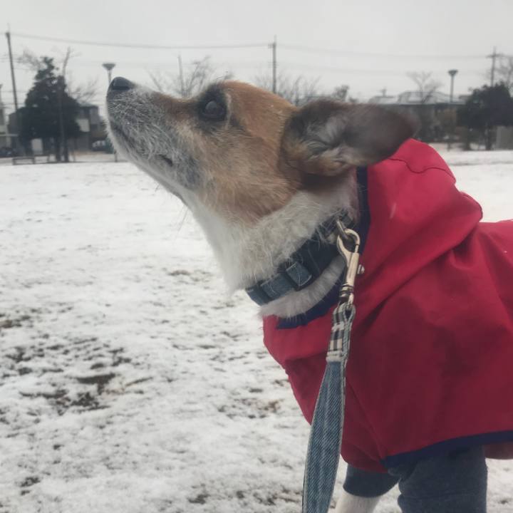 C530dfbf e810 44ad 8890 0610ef0c0f31 1519257239502