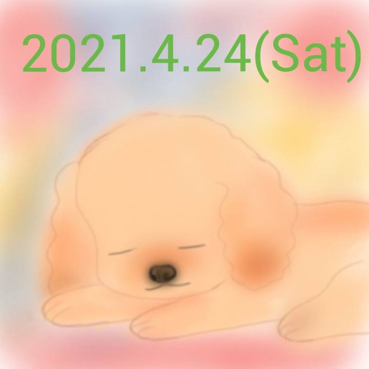 C530f274 3007 4b63 9712 0a8492c32396 1619263759059