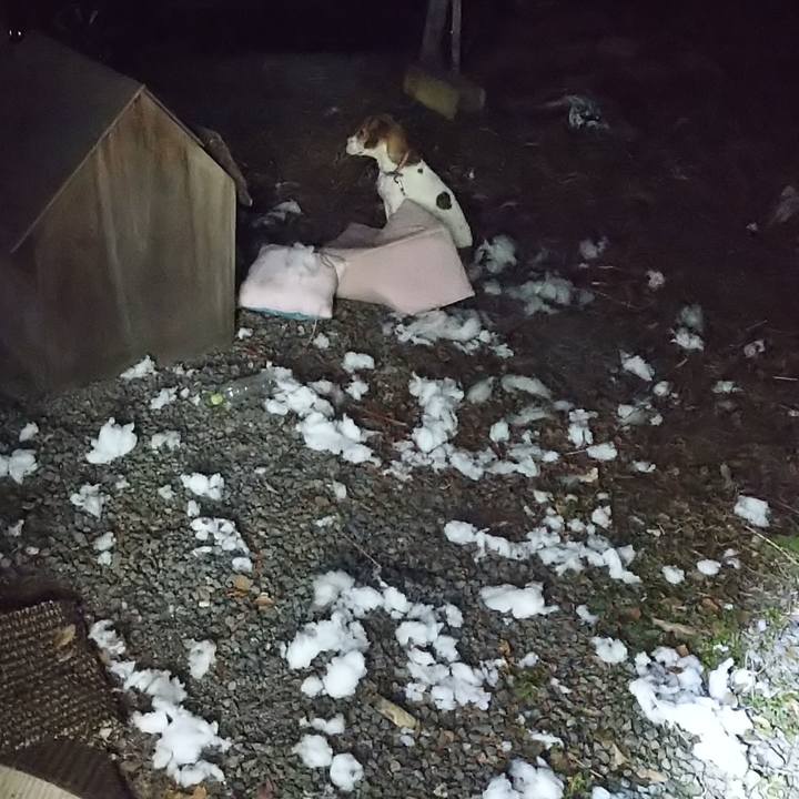 C530f620 d88d 4fa5 a513 cfbd49956bdb 1639312092309