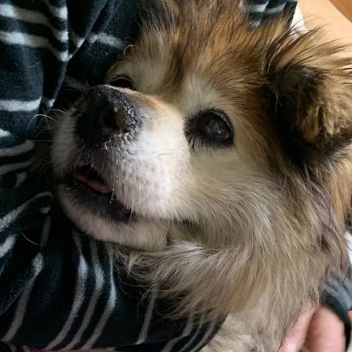 C531162e d057 4a17 bdbe 9477ca1b5c70 1611643050369