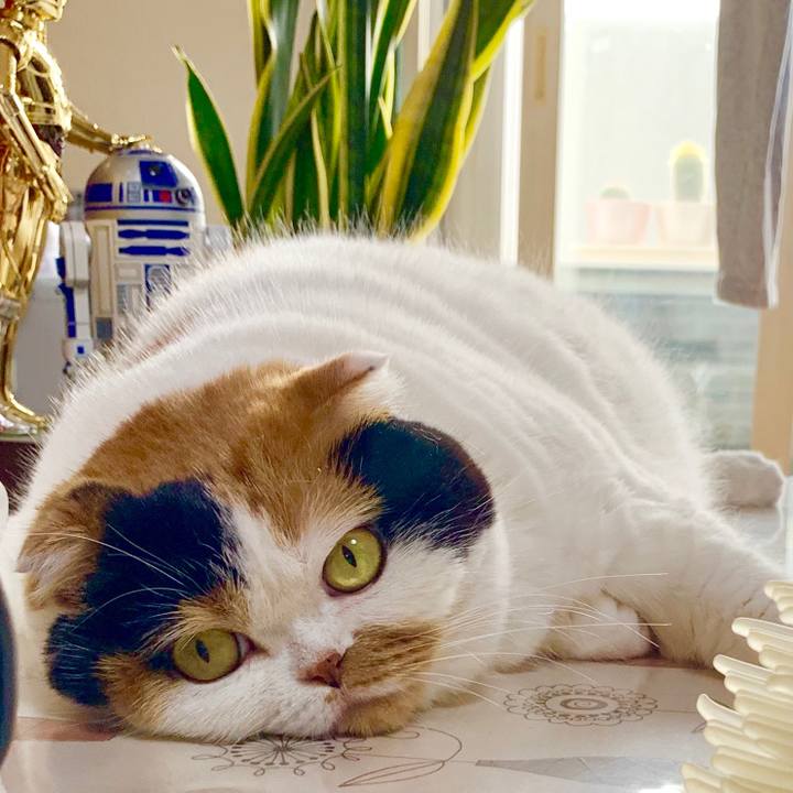 C53125ae caeb 4048 894b 86c326c4bd75 1569113597004