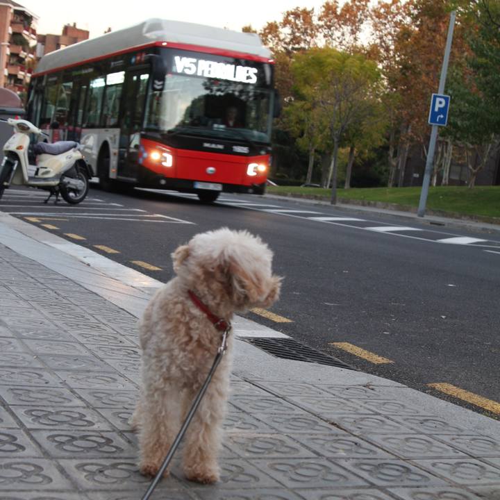 C53132f0 010c 454a 91d5 3ea7e80e97f8 1511210004301