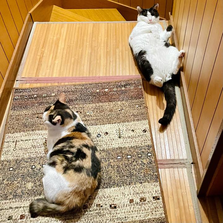 C53140c2 8d90 4438 84eb 59794302559e 1624590300580