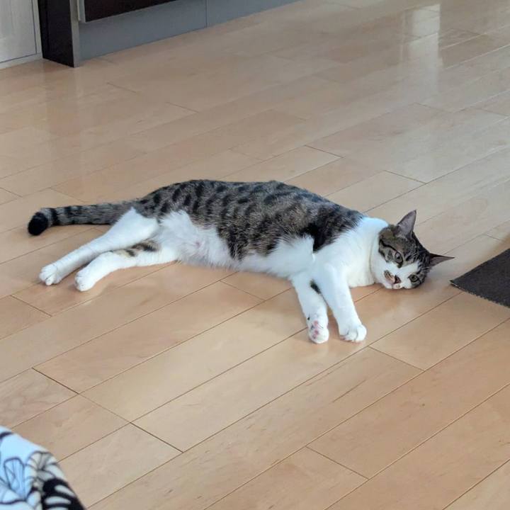 C531442d 6c46 4e8b a62b 910e5329490d 1754460352157