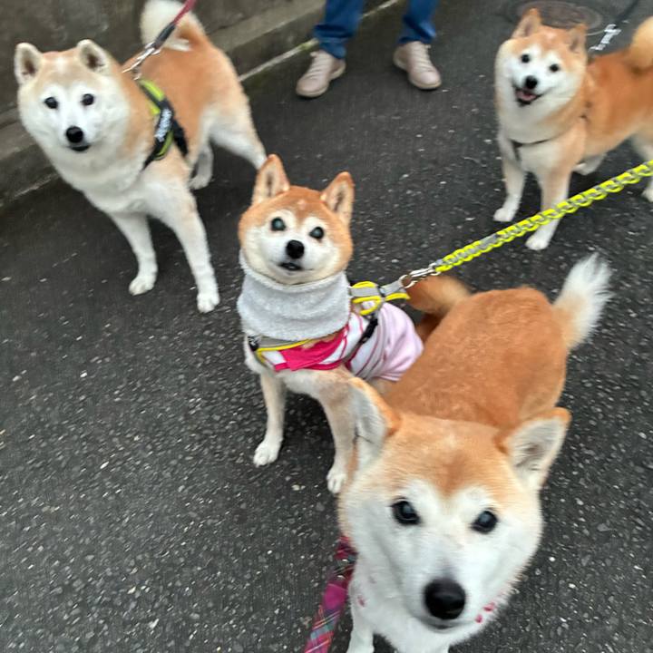 C53159a7 cce6 4004 bf66 a08fe034538e 1762646799690