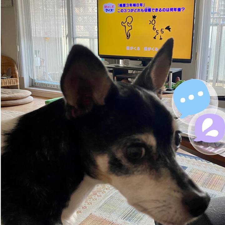 C5316972 a042 479e 9c35 5583b95be169 1615327815611