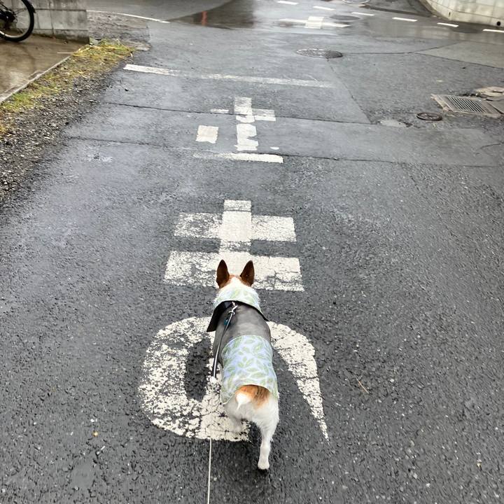 C531a83d 9f17 4e54 b6c7 74c0b4a69d12 1708903371709