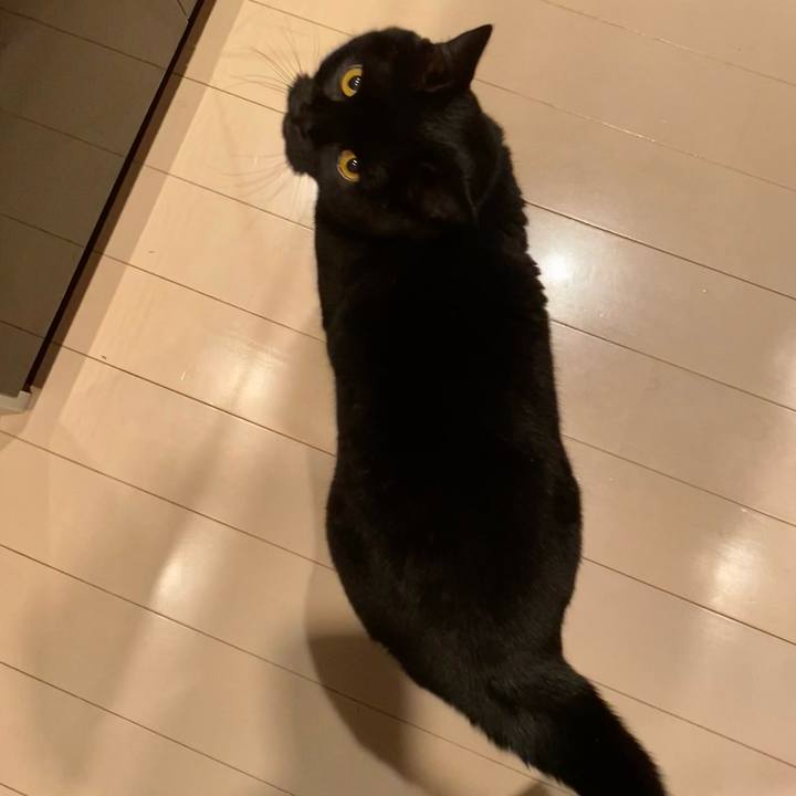 C531e732 aeda 471a b9c8 16a10b1ac870 1701093002046