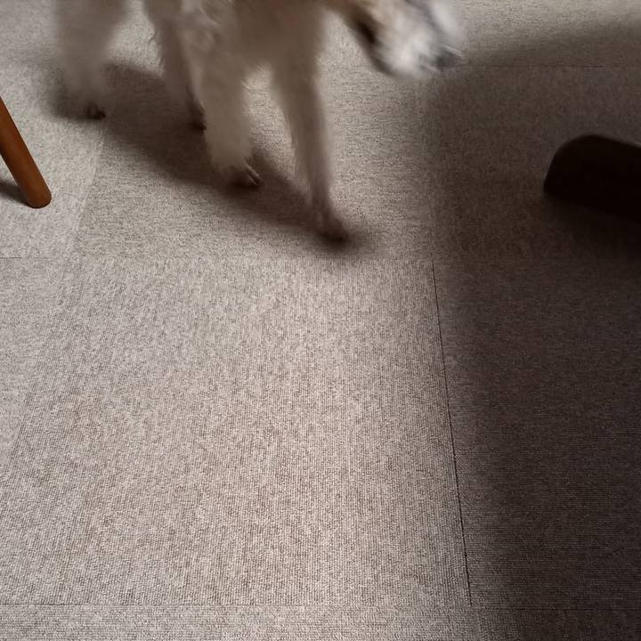 C53204a8 cfde 4caa 9bb4 86cac631041c 1639577140439