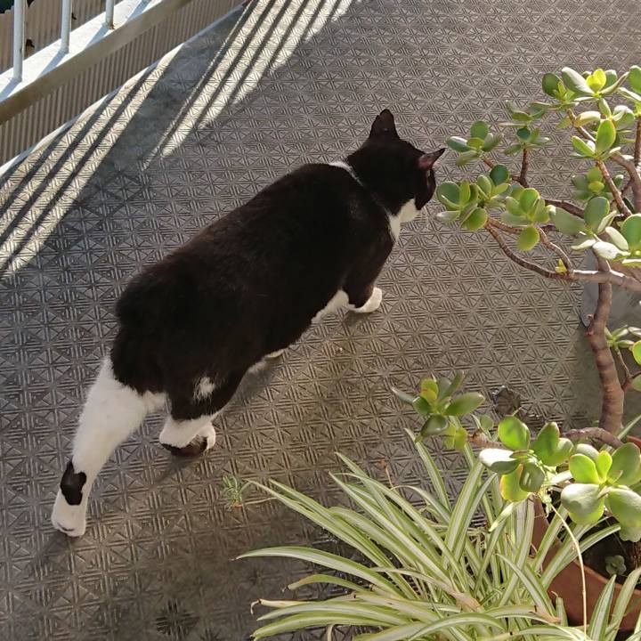 C5323328 5c4c 418e 9753 f49b30a74c53 1660880798775