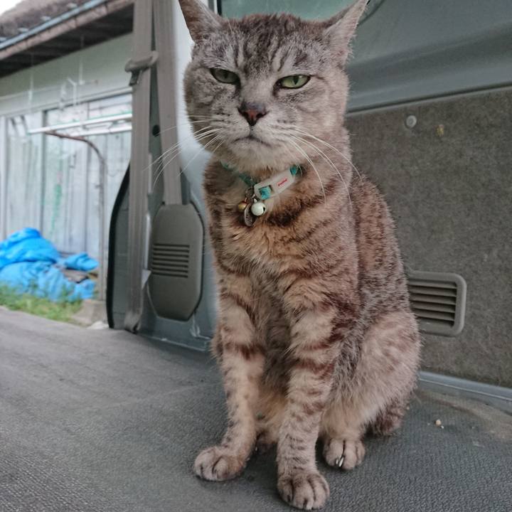 C5324103 ecc1 4582 9218 296b743491ec 1565515301257