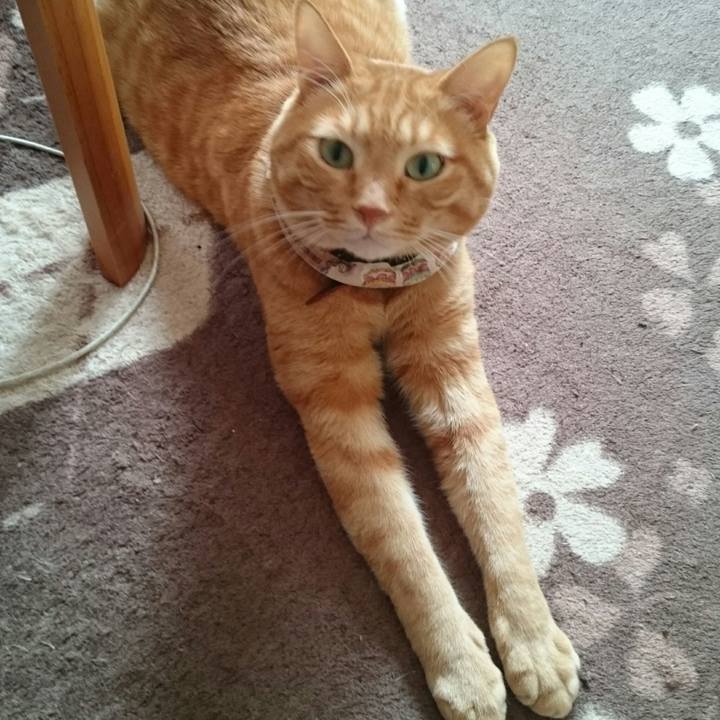 C532502d 7c2a 49be ba61 1652c4a469a0 1510291790310