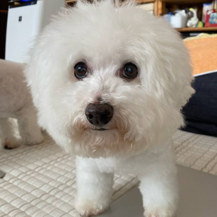 C5326063 ec5c 4a26 9255 e8c7f37881df 1660263710876