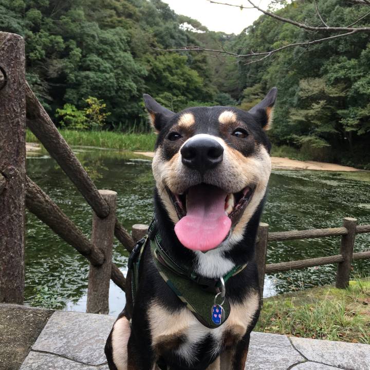 C5326ad3 65e4 4e5d 84a3 87e76333b461 1538274677333