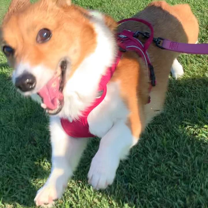 C5329c94 f8ab 4000 9c61 e843a0eb5eb7 1656108766881