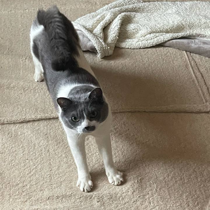 C532a535 bf5e 43e3 9bc3 978e43253646 1741998833281