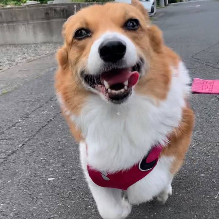 C532ee31 02b6 4433 9840 67e405584f3a 1684461882201