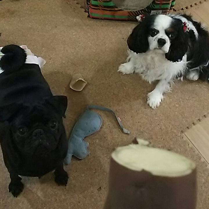 C5331bd6 f253 4c61 9fcf a295113b8cd7 1540035112352