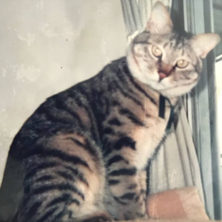 C5333b92 98de 4ec0 b848 ca8878587c72 1610293029876