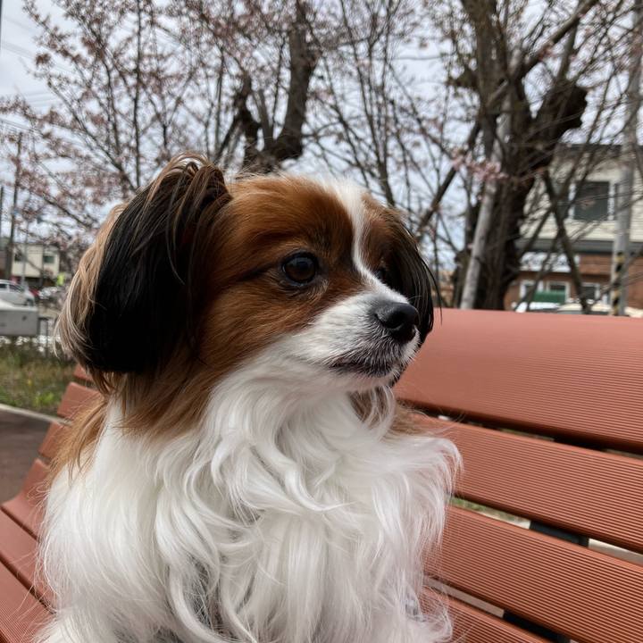 C5336fcd 91a6 41fc ae76 4243772524a7 1745463320332