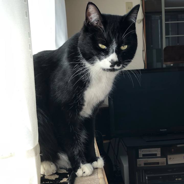 C5338735 5bad 4272 bb23 2c9fe19c24fb 1557373389886