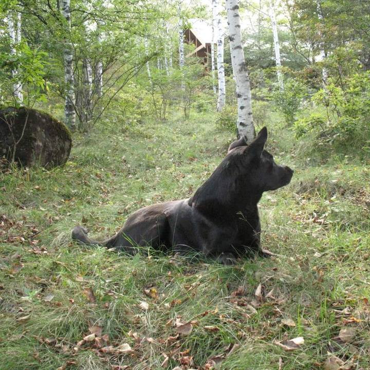 C5338e91 d379 4646 8ecf 212e5ad61476 1536913270234