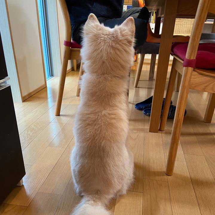 C533d20c 232a 4e30 8752 eea63567ffea 1670728514248