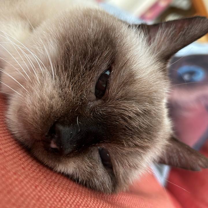 C533e261 16da 489e 8ae2 a3e47ab4c563 1694819781321