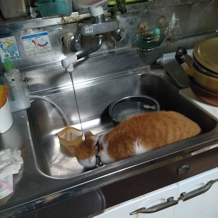 C533eae8 513c 4c4b 8dcb e977a8089fb5 1768687694966