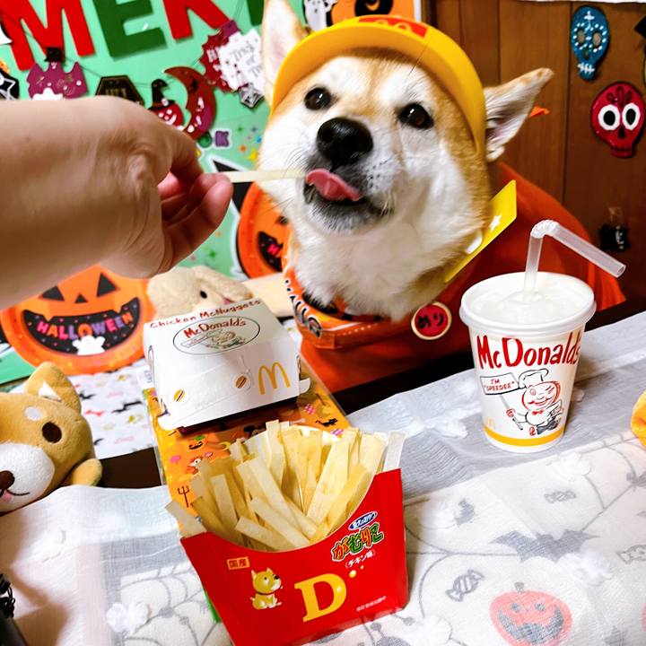 C53411b8 af86 47ee 9eb6 f5e196bfe510 1665629322069