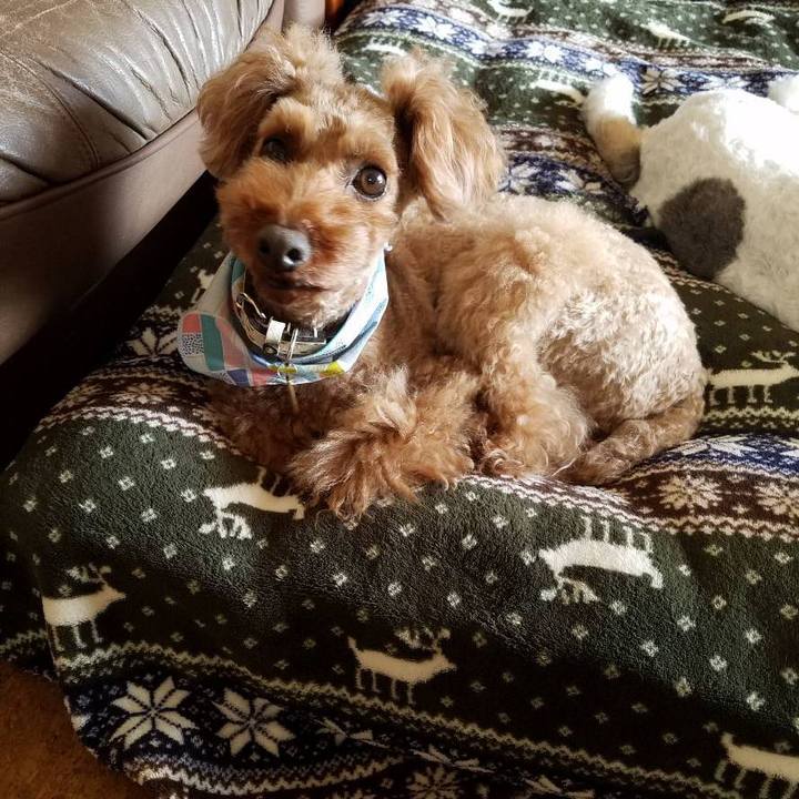 C5341d3e 6226 452d a641 0d0969f6571f 1541600314085