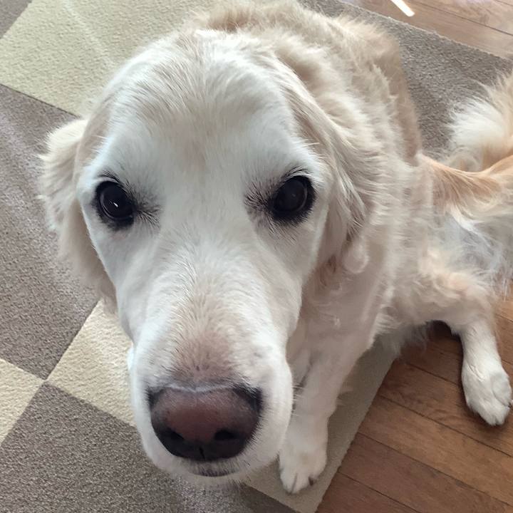 C5342ab1 1073 47d3 855d 0a594363cf1a 1665444513812