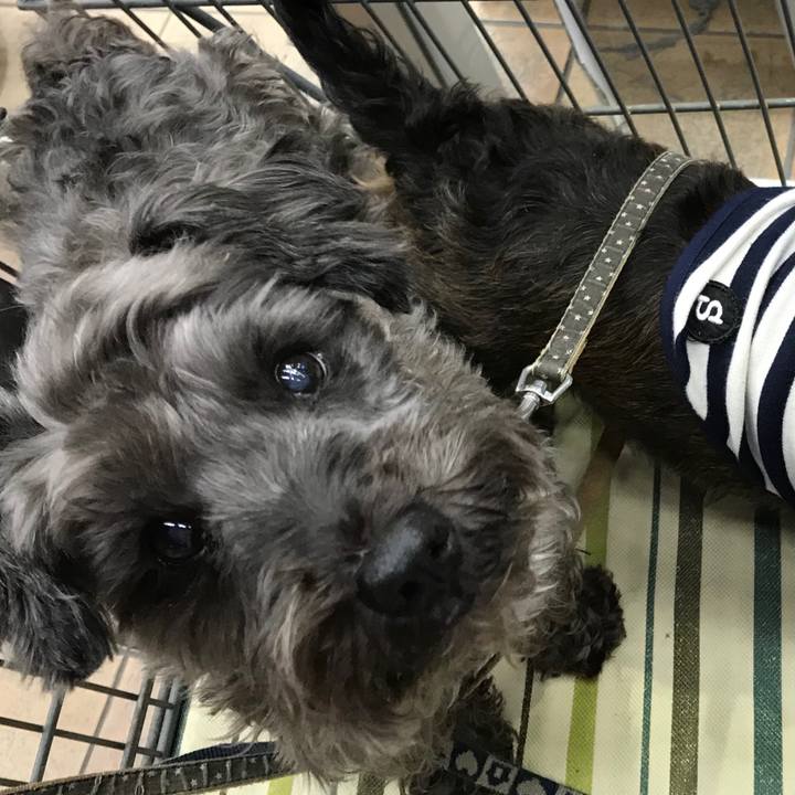 C5344a15 e304 41ba 8768 8d4e37f8146c 1508498133920