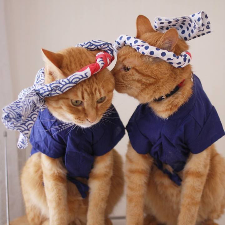 C534ad6b 638a 4cca afa1 340b005bf7c0 1721807881588