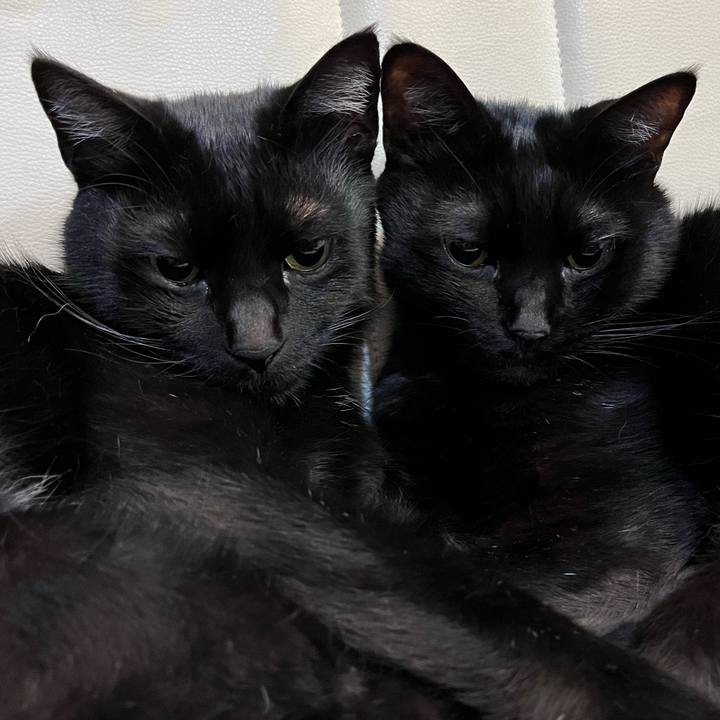 C534d67b b2d4 4c9d 8a6c 63be2a042199 1652329423418