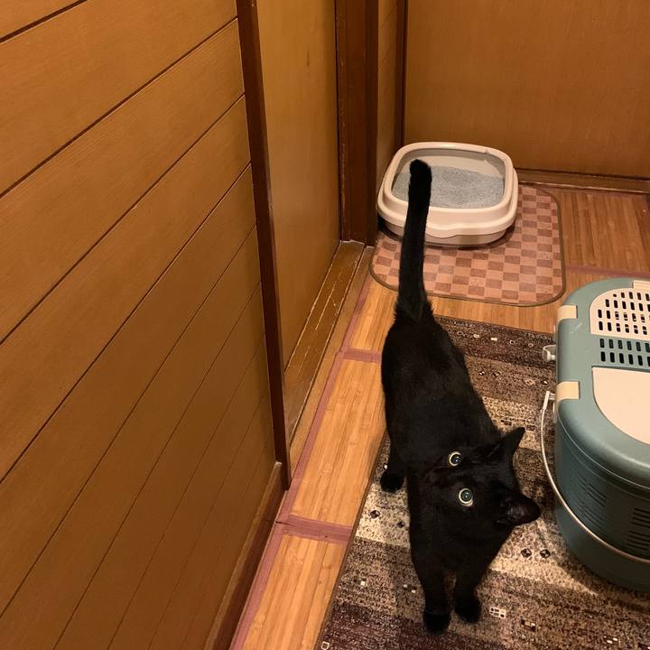 C534dc07 2d77 443d b412 4dbb976d65e3 1567471488491