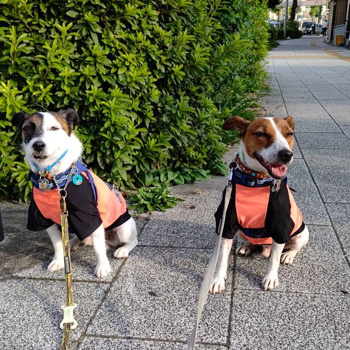 C534ea6d 0cd4 44a2 b96b 199965423c1f 1626731325489