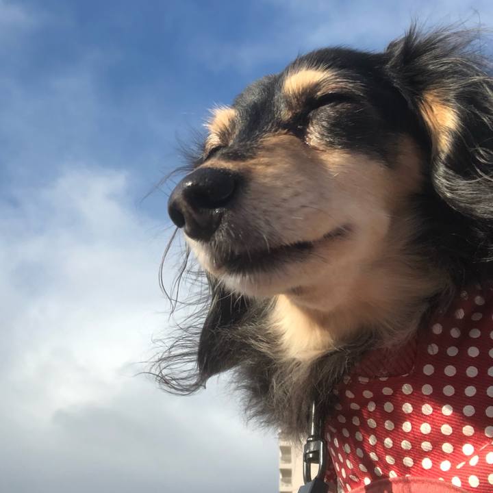 C53502be 5fe0 4fd0 983b 794e926453c8 1577406226762