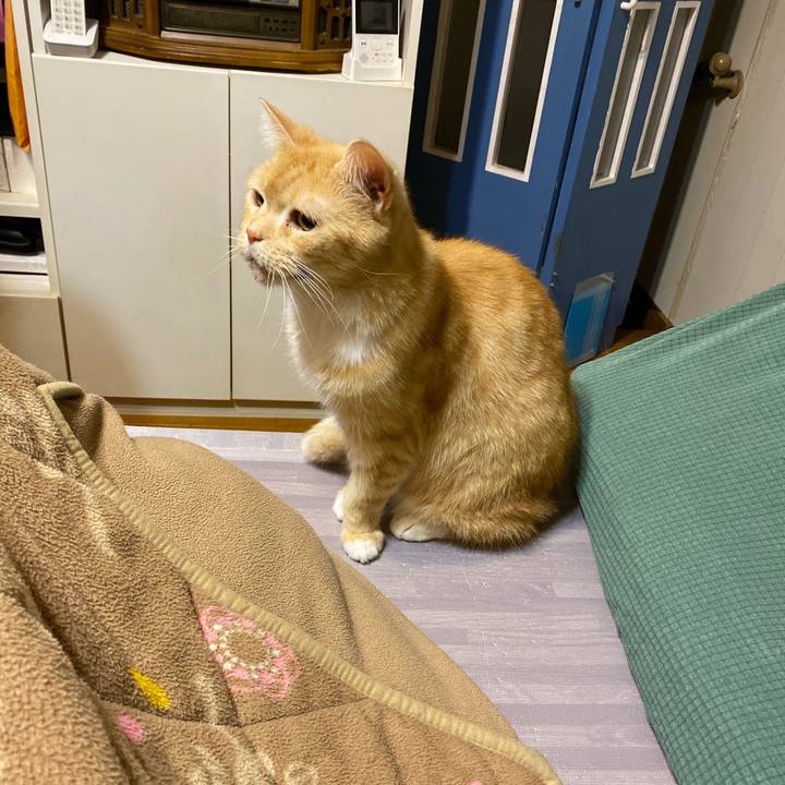 C535413f eca2 402c a8f4 3f2b2703371d 1609511762372