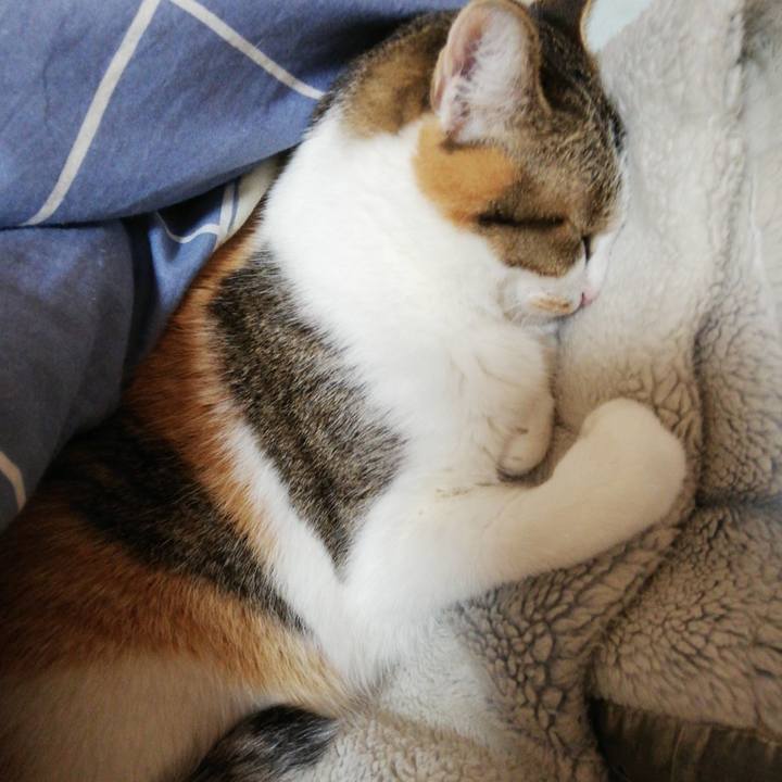 C5356622 a20b 4ffc bffa 88eddfe5dd09 1609196152065