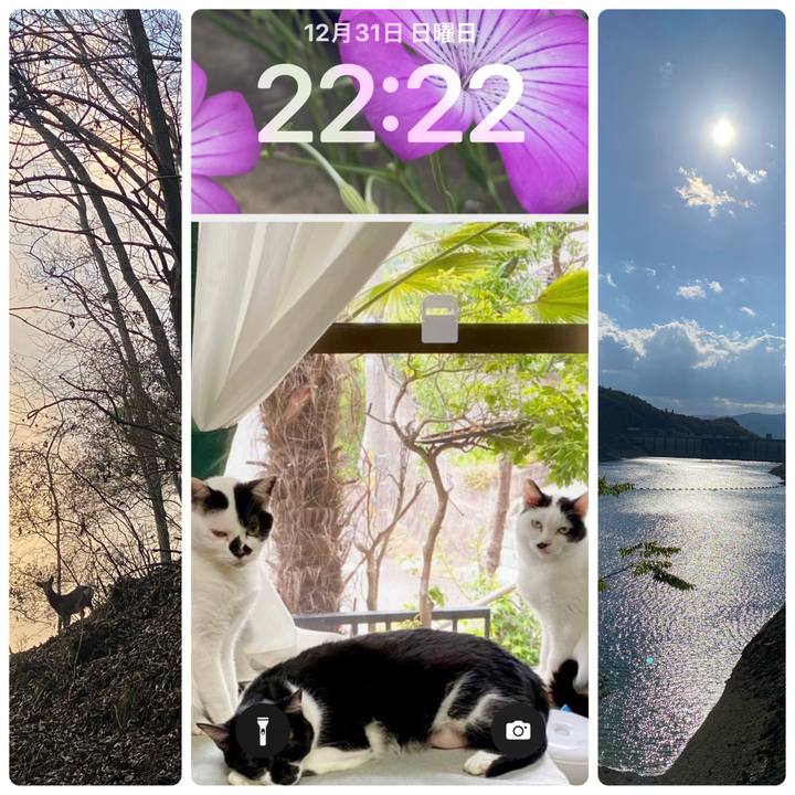 C53591a4 04c4 4fe6 85bb 6430ca485cf9 1704029318486