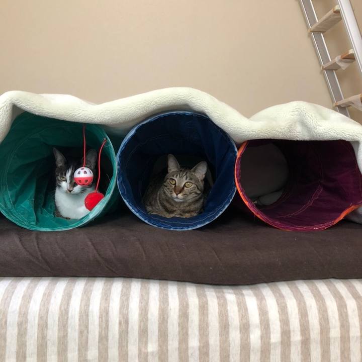 C535cc2b 5d05 4941 b0e2 765b322bfd38 1558528706739