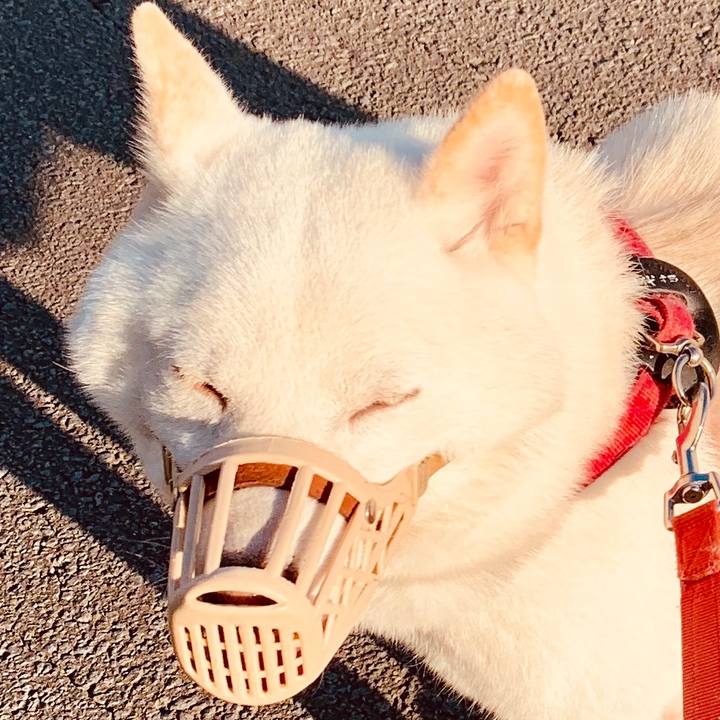 C535fe30 52c2 4f75 8bf0 2b4d8384fdf2 1569449958600