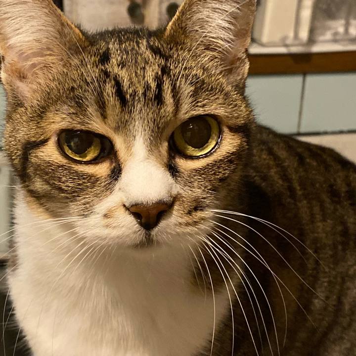 C5360041 4fe3 4220 b832 ee68eec82f17 1650291970135