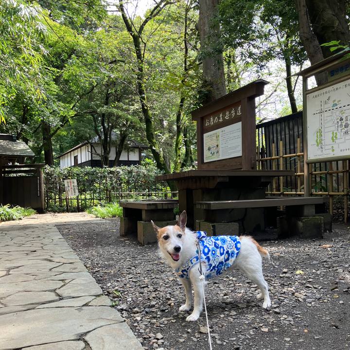 C5361926 f047 4f3c 96ca 64aae8d94984 1724714834933