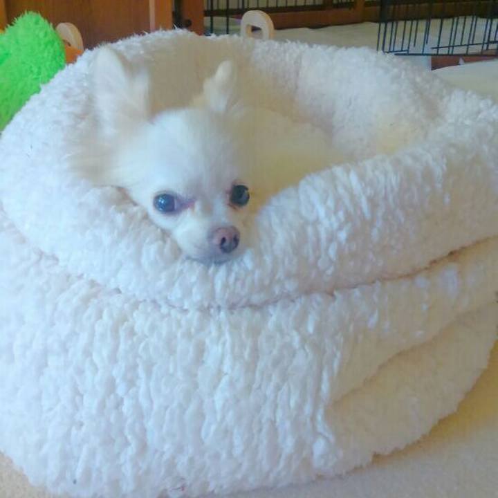 C5362143 6f89 4e2a 89cd e036123571a1 1547180106873