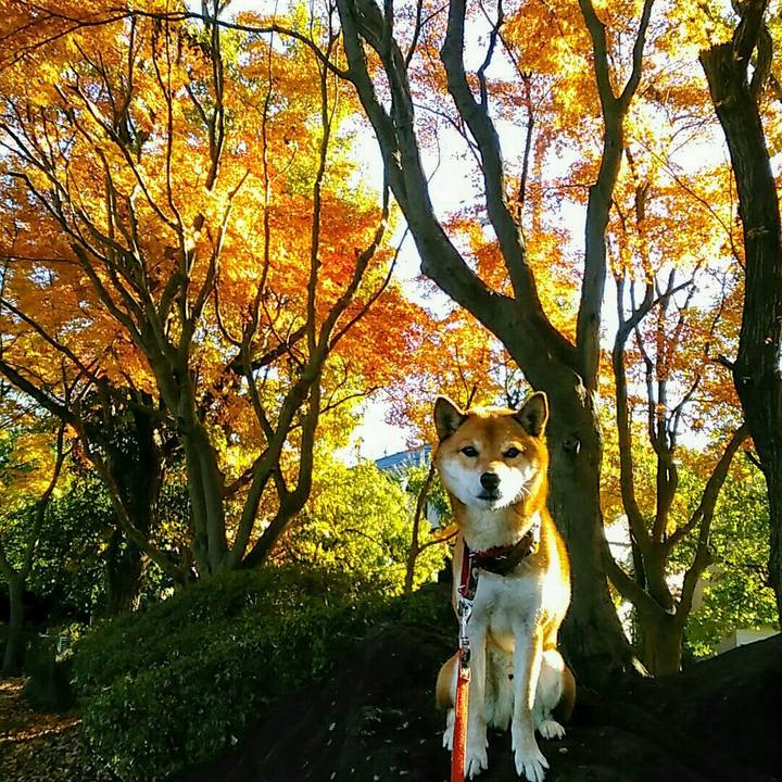 C5363364 b2e8 4e60 b71e e8e4006b17de 1575448243330